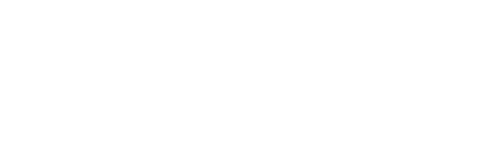 l1